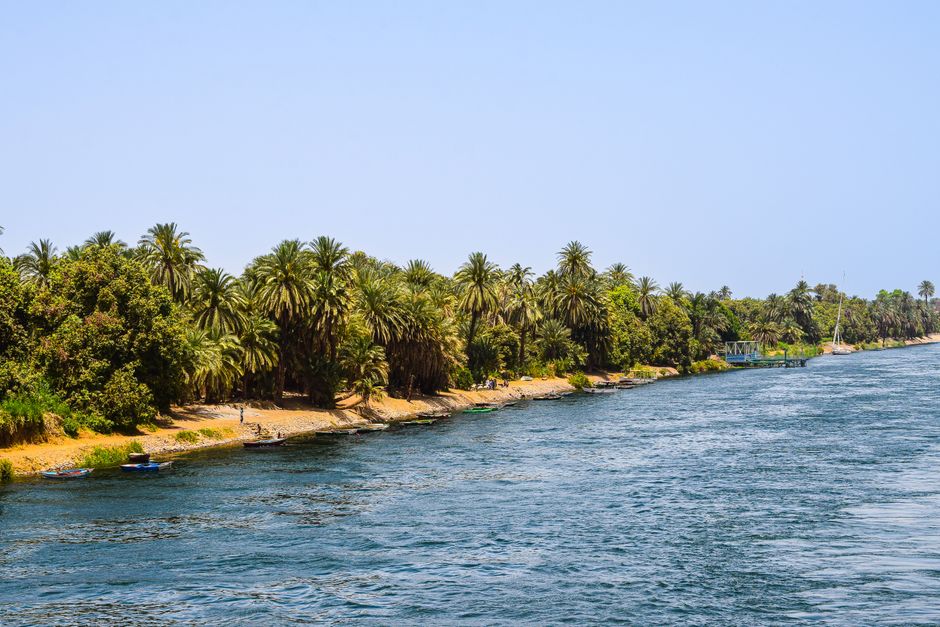 A scenic summer view of the Nile River bordered by lush palm trees and greenery.